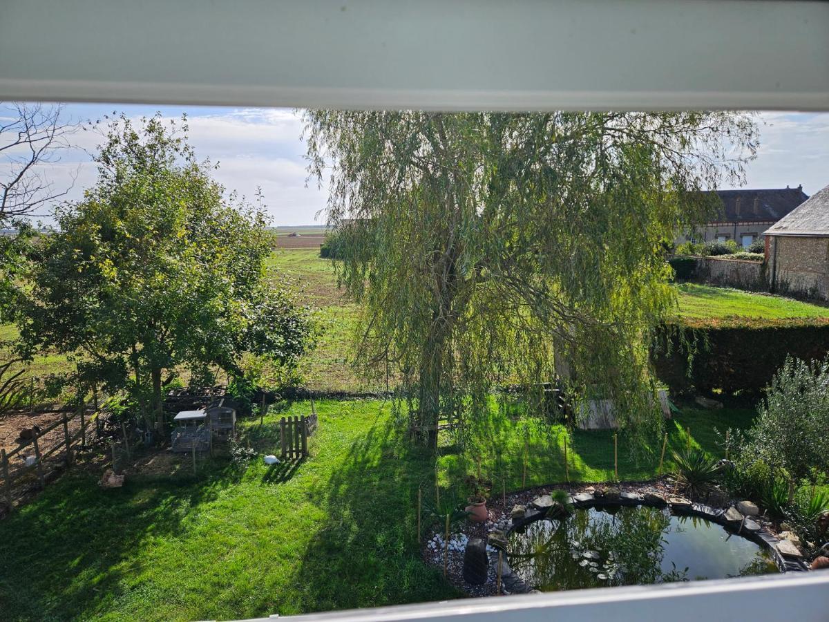 Au Nid Des Champs, Agreable Chambre D'Hotes, Proche De Chartres Dammarie  Exterior foto